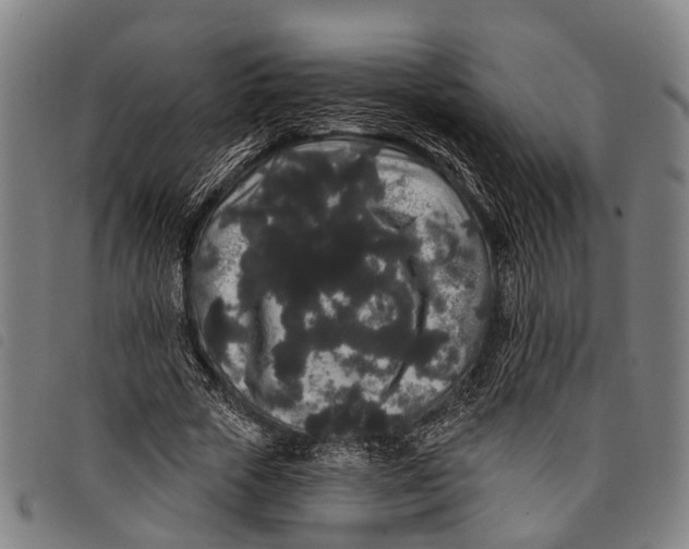 X0000097850729200804041505