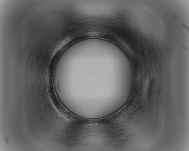 X0000097850730200804041505