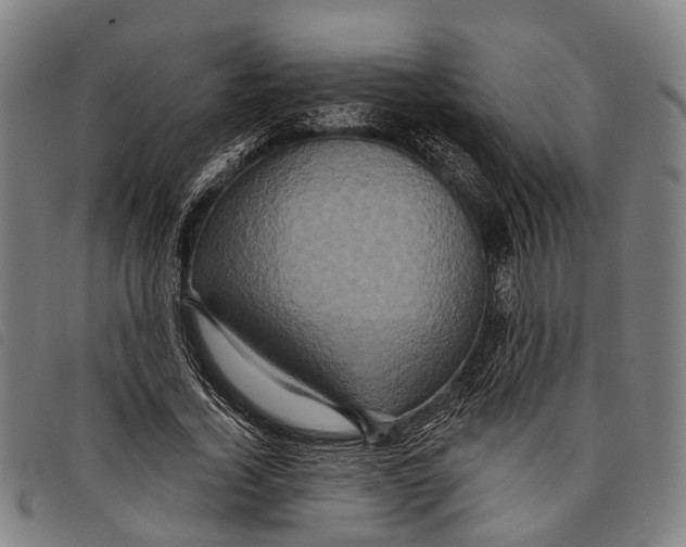 X0000097850732200804041505