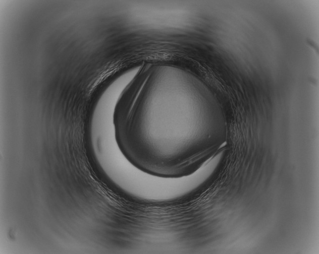 X0000097850735200804041505