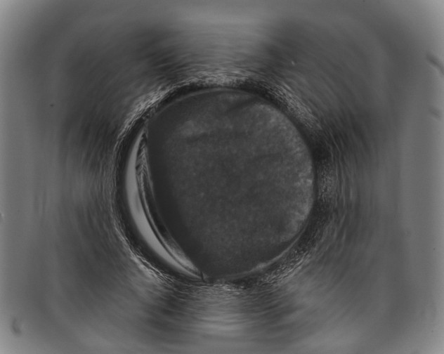 X0000097850736200804041505