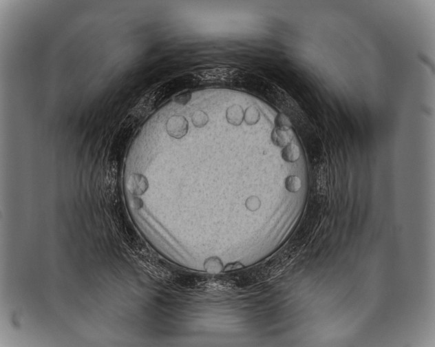 X0000097850737200804041505