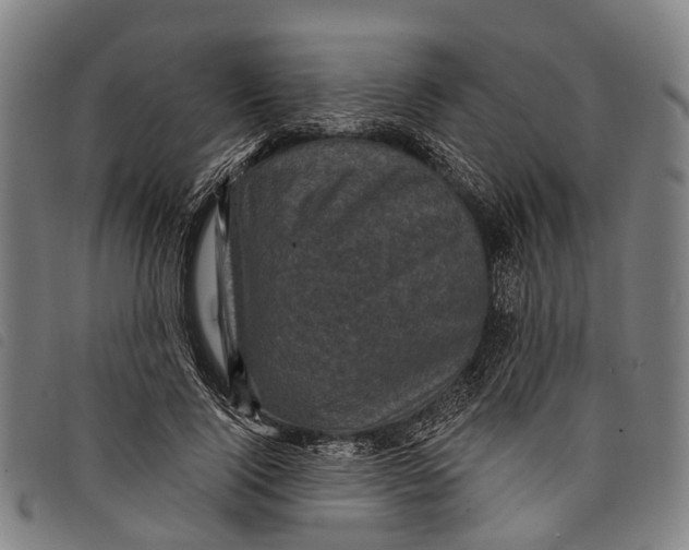 X0000097850740200804041506