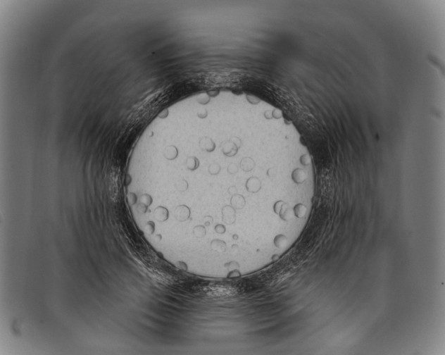 X0000097850741200804041506