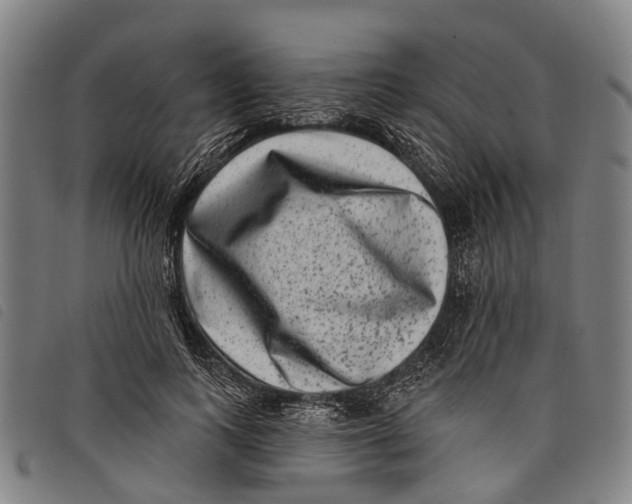 X0000097850743200804041506