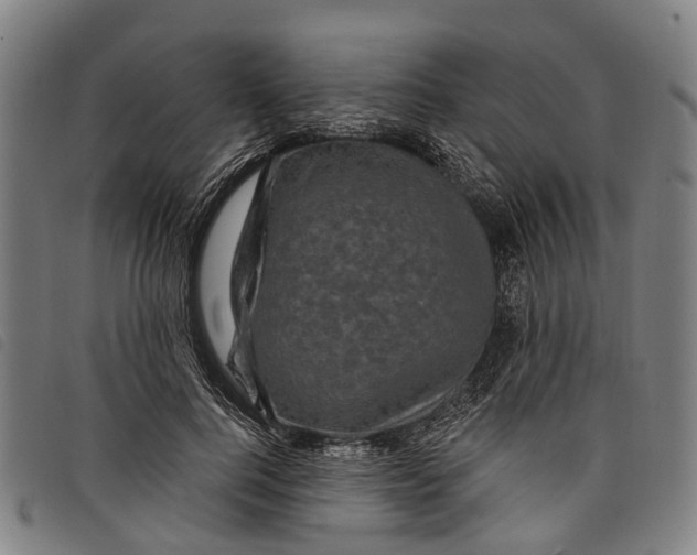 X0000097850744200804041506