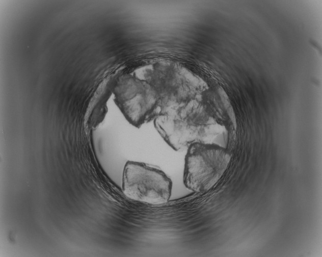 X0000097850745200804041506