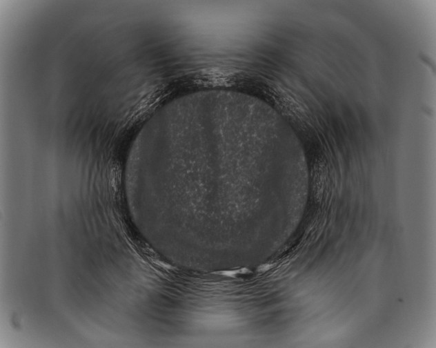 X0000097850747200804041506