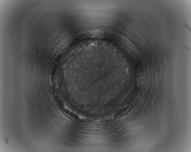 X0000097850748200804041506