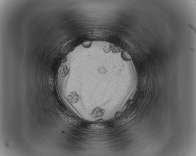 X0000097850749200804041506