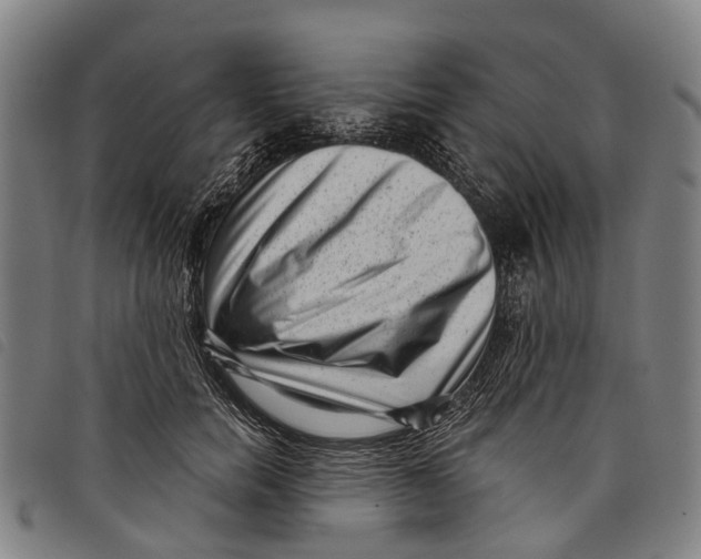 X0000097850750200804041506