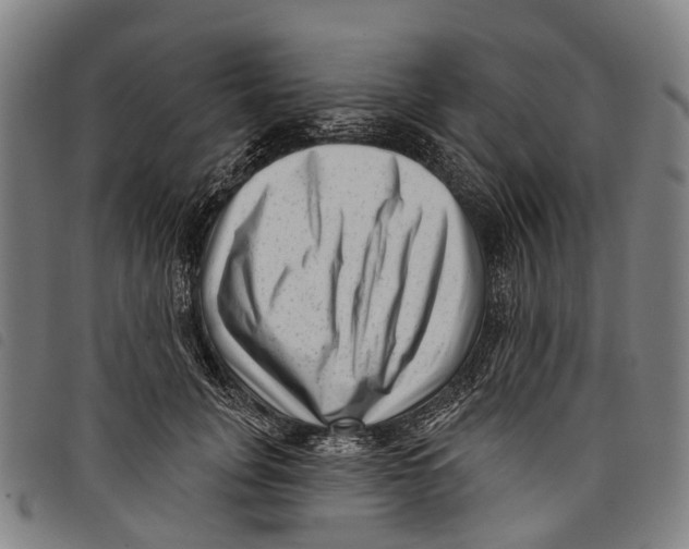 X0000097850751200804041506