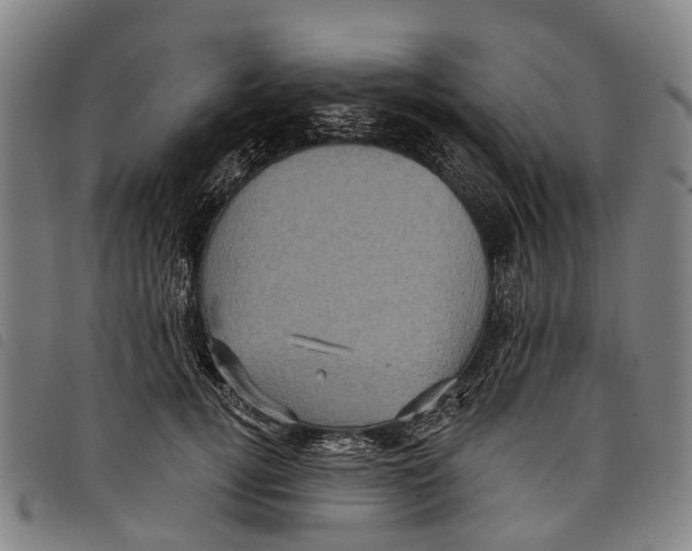 X0000097850752200804041506