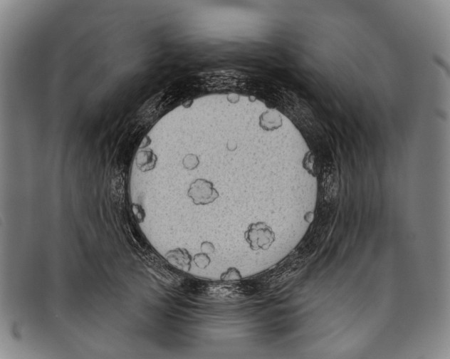 X0000097850753200804041506