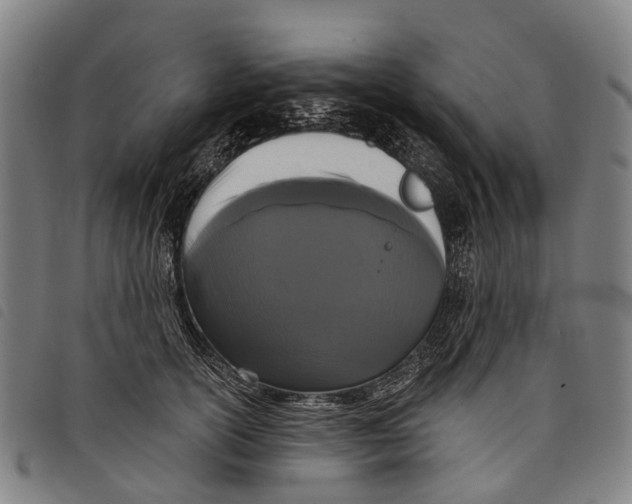 X0000097850754200804041506