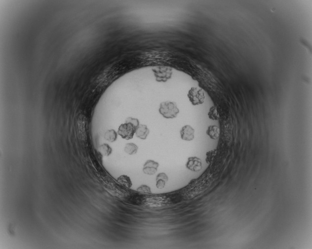 X0000097850757200804041506