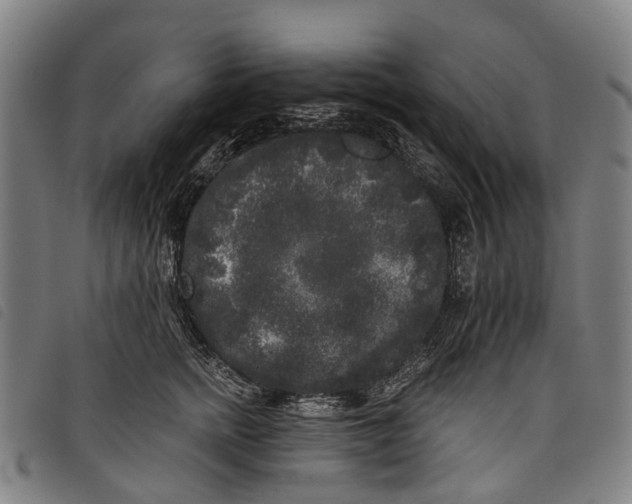 X0000097850758200804041506