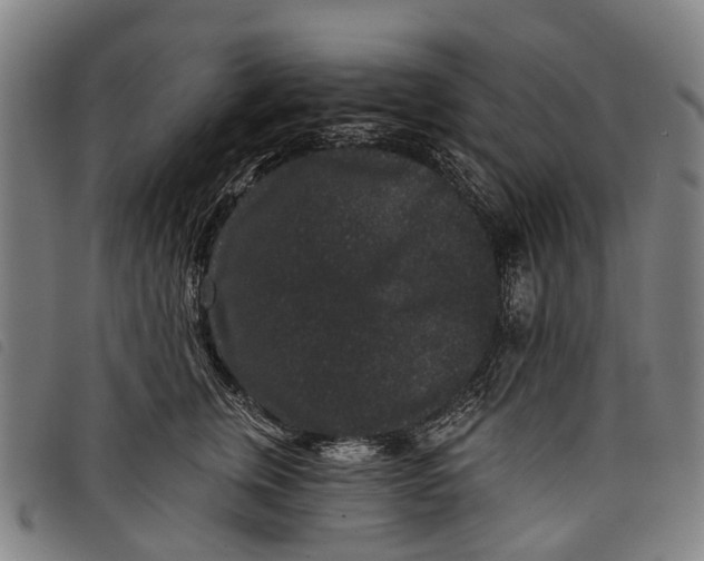 X0000097850759200804041506