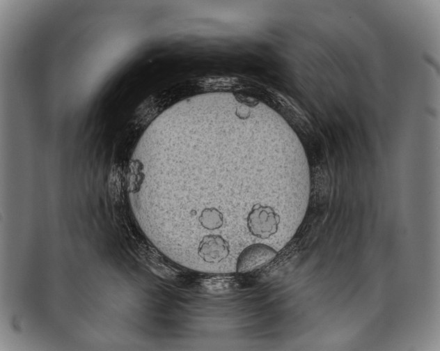 X0000097850761200804041506