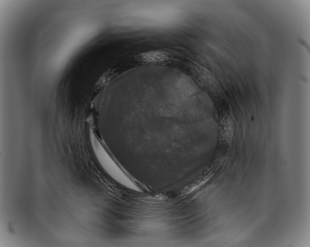 X0000097850762200804041506