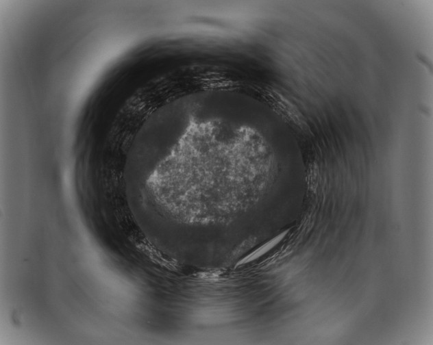 X0000097850763200804041506