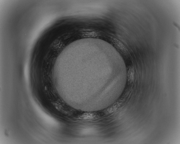 X0000097850764200804041506