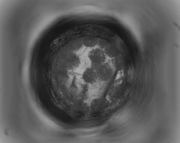 X0000097850765200804041506