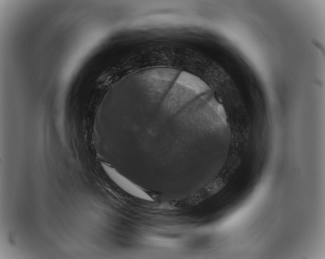 X0000097850766200804041506