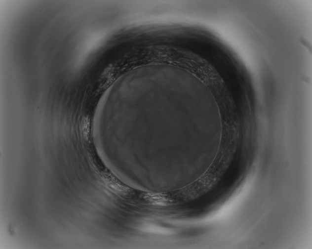 X0000097850767200804041506