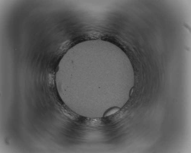 X0000097850768200804041506