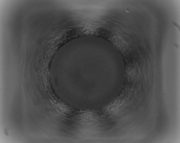 X0000097850769200804041505