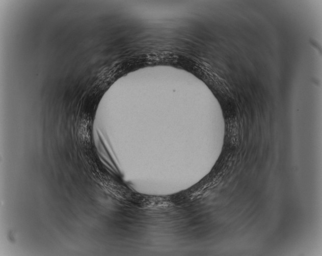 X0000097850770200804041505