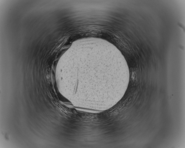 X0000097850771200804041505