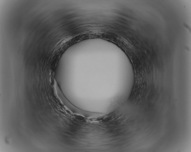 X0000097850773200804041505