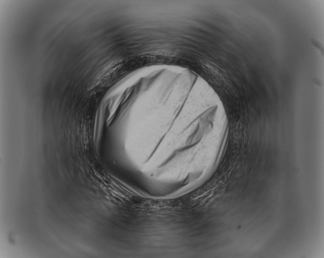 X0000097850774200804041505