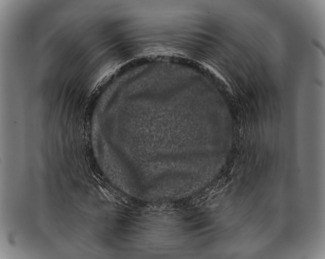 X0000097850775200804041505