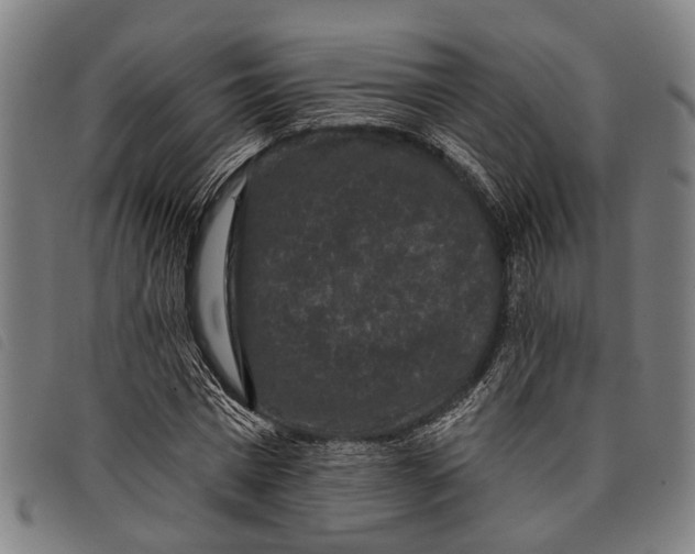 X0000097850777200804041505