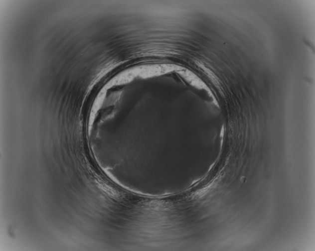 X0000097850779200804041505