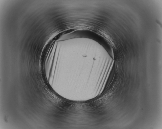 X0000097850780200804041505