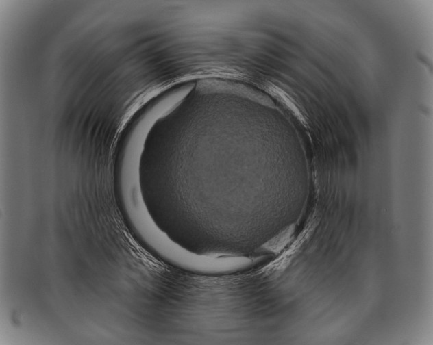 X0000097850781200804041505