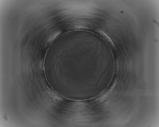 X0000097850785200804041505