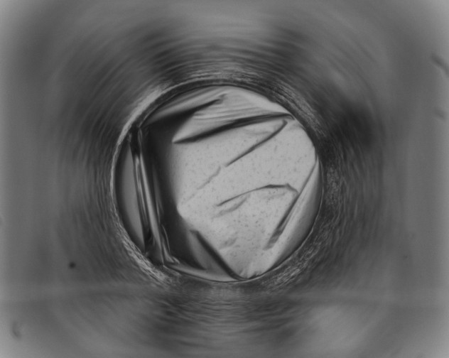 X0000097850788200804041505