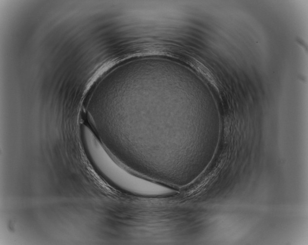 X0000097850789200804041505