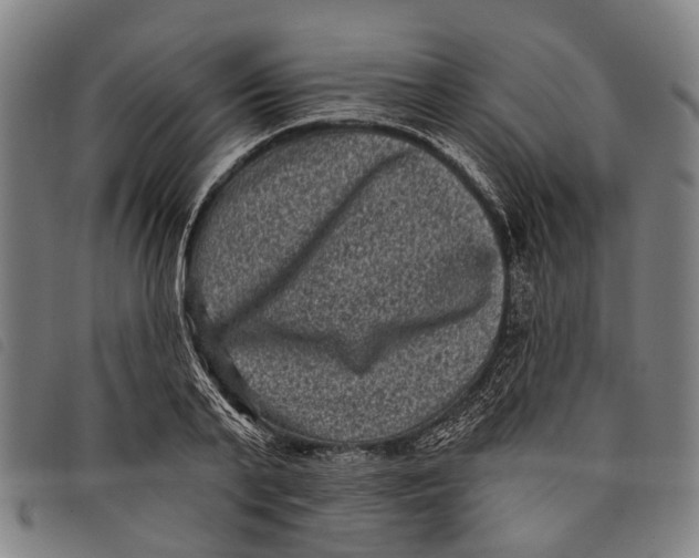 X0000097850791200804041505