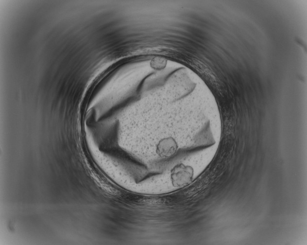 X0000097850792200804041505