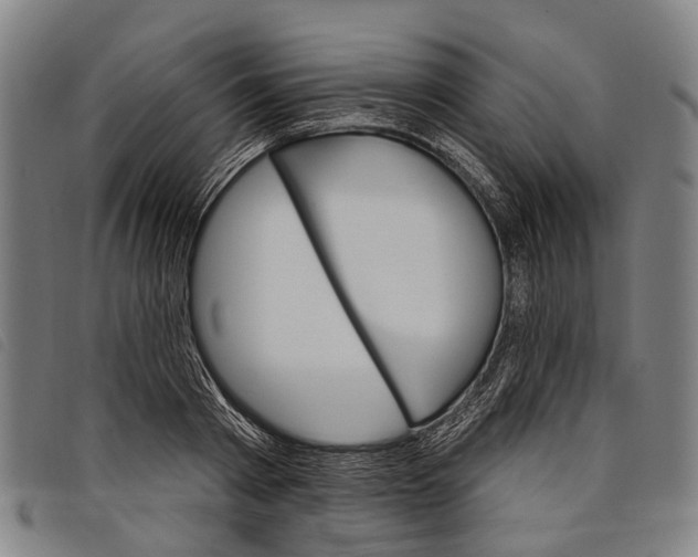 X0000097850793200804041505