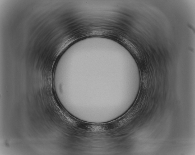 X0000097850794200804041505