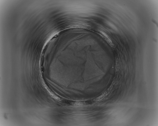 X0000097850796200804041505