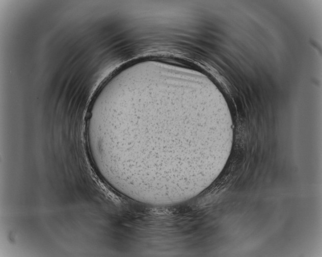 X0000097850799200804041505