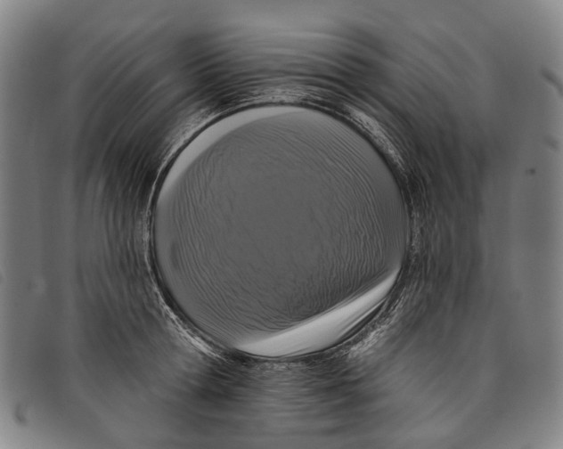 X0000097850802200804041505